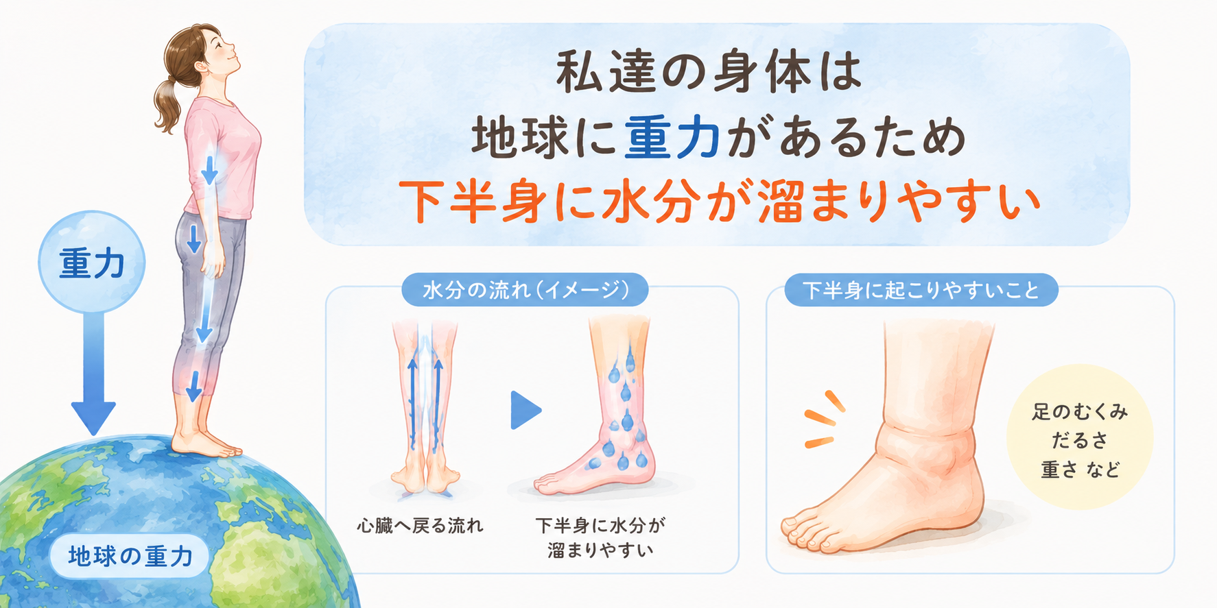 地球に重力があるため下半身に水分が溜まりやすい